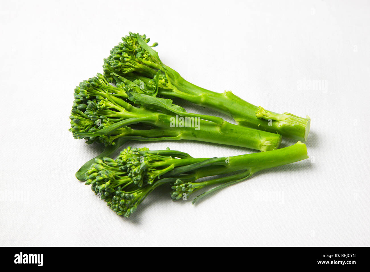 Tenderstem Brokkoli auf weißem Hintergrund Stockfoto