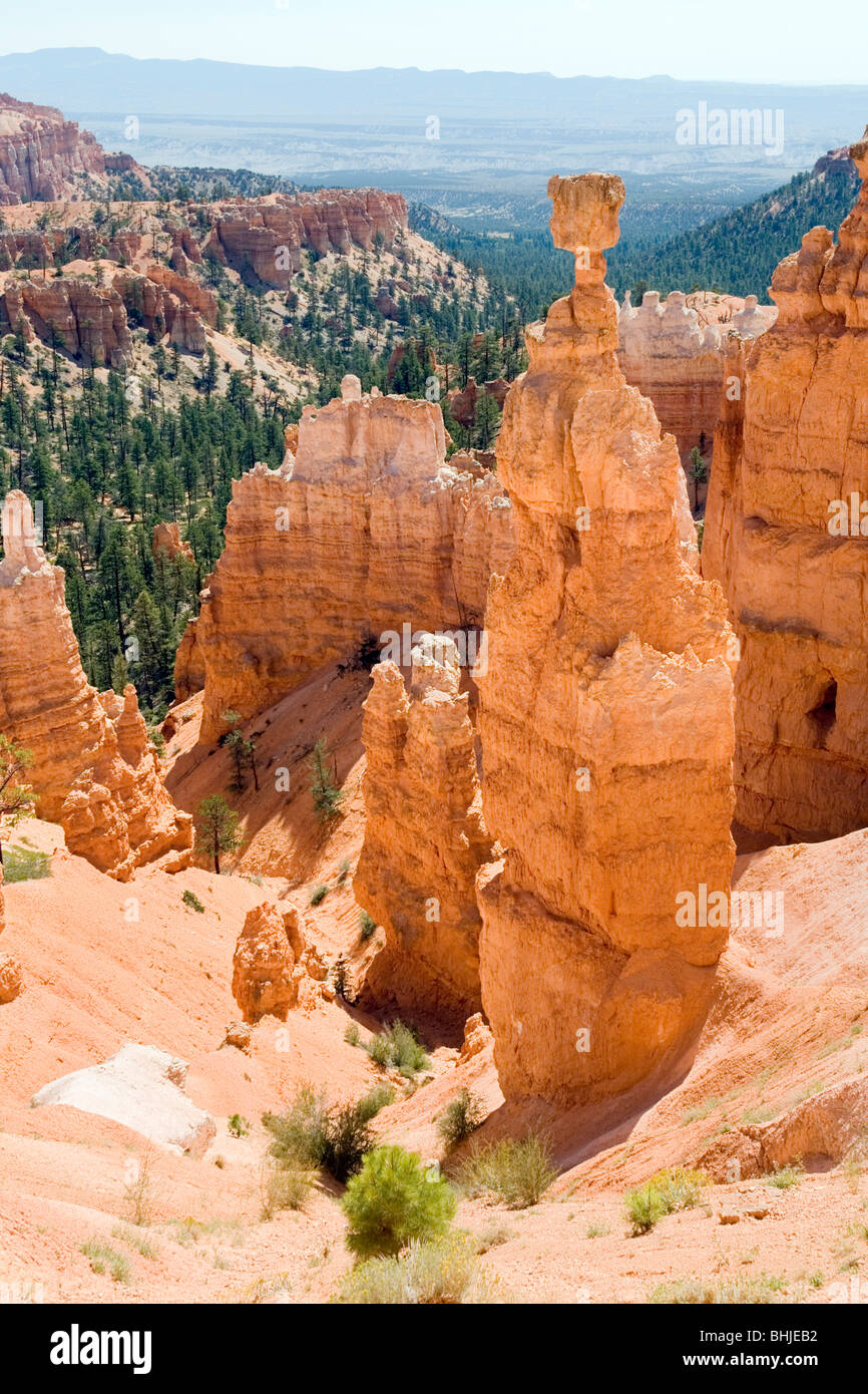 Thors Hammer im Bryce Canyon, Utah. Stockfoto