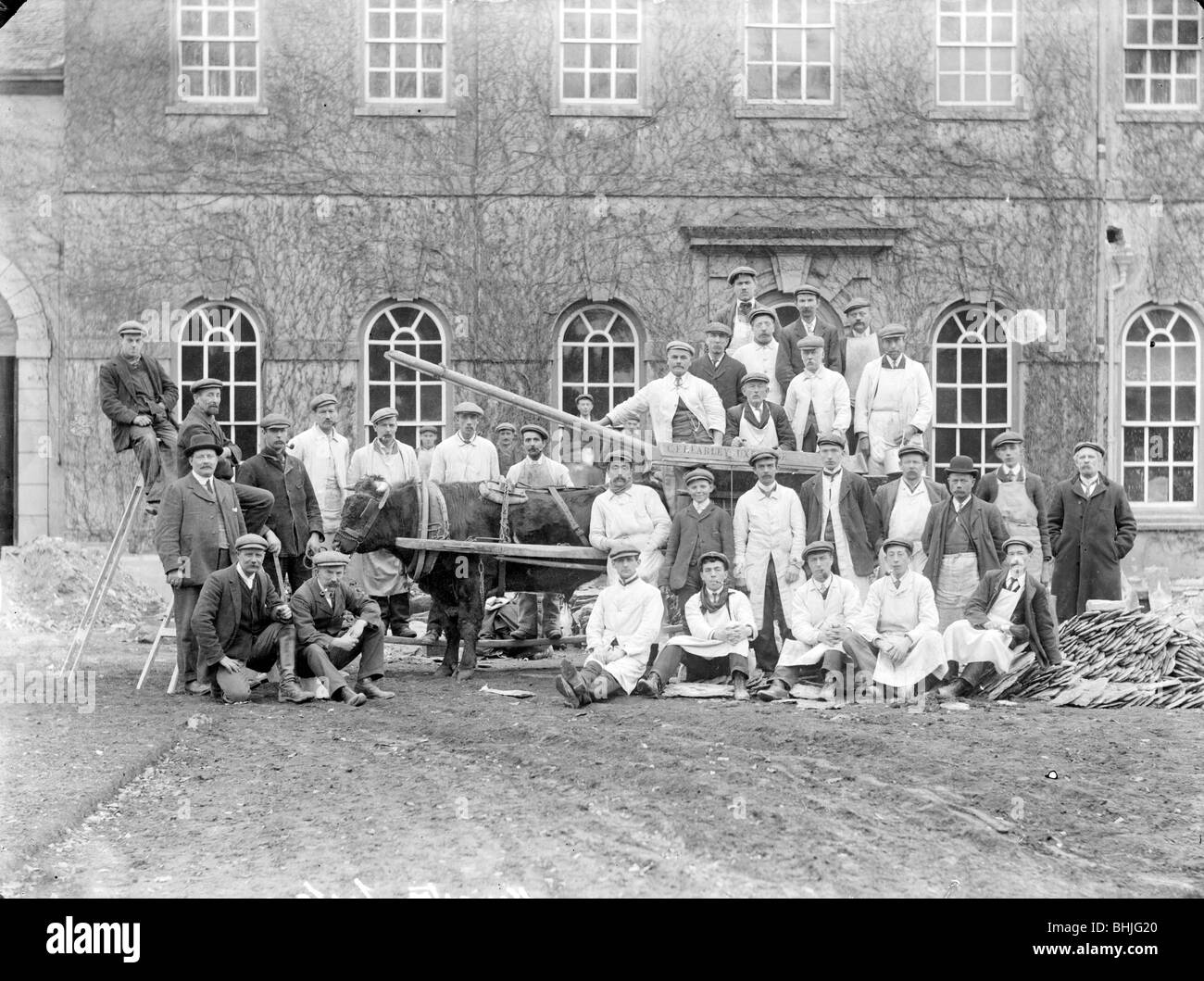 Arbeiter posiert vor einem Haus mit einem Ochsenkarren, Kingston Lisle, Oxfordshire, c1860-c1922. Künstler: Henry Verspottung Stockfoto