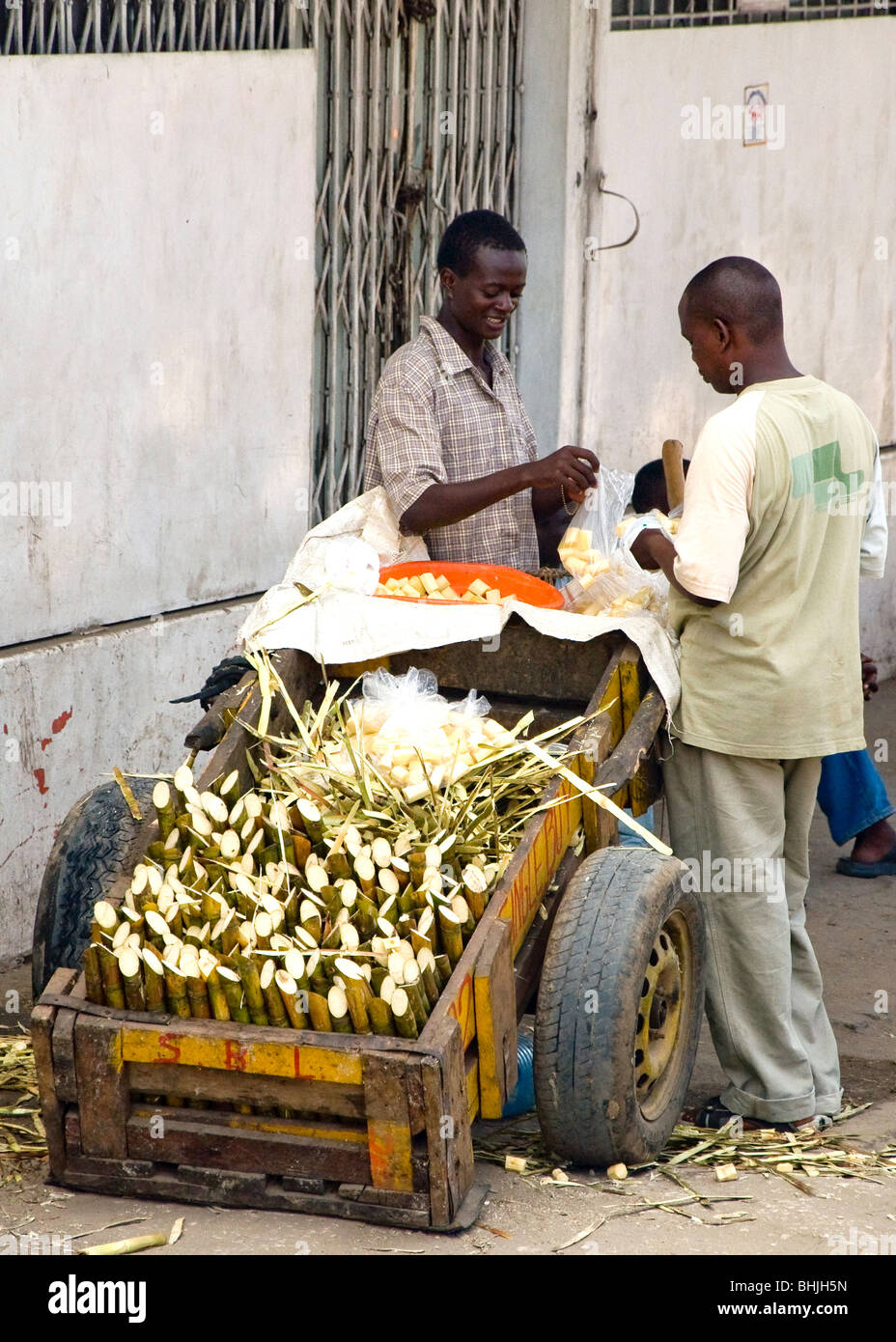 Mann, Verkauf von Zuckerrohr, Mombasa, Kenia, Afrika Stockfoto