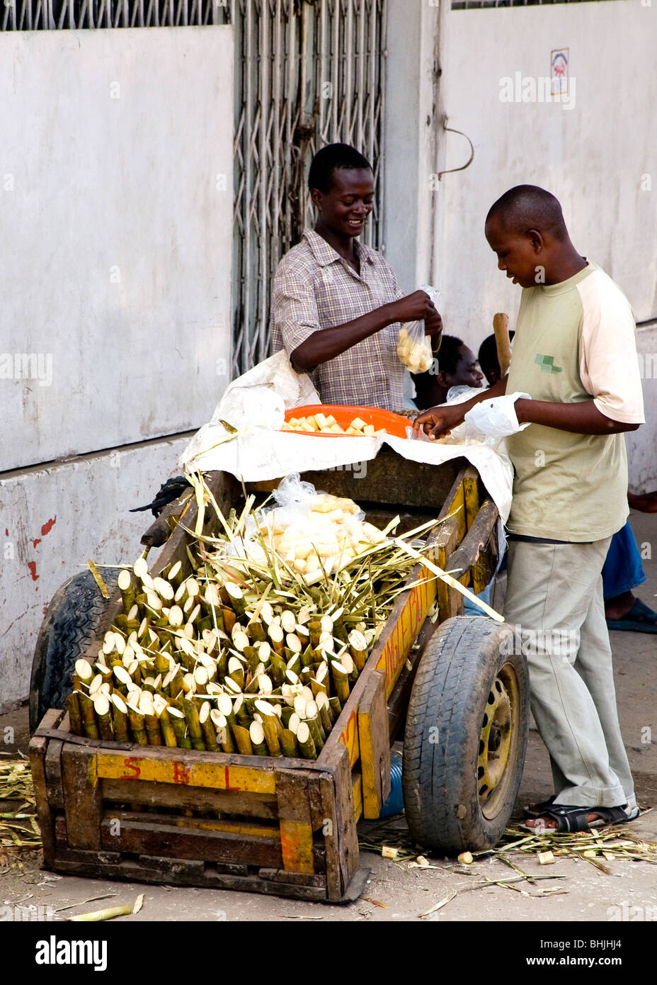 Mann, Verkauf von Zuckerrohr, Mombasa, Kenia, Afrika Stockfoto