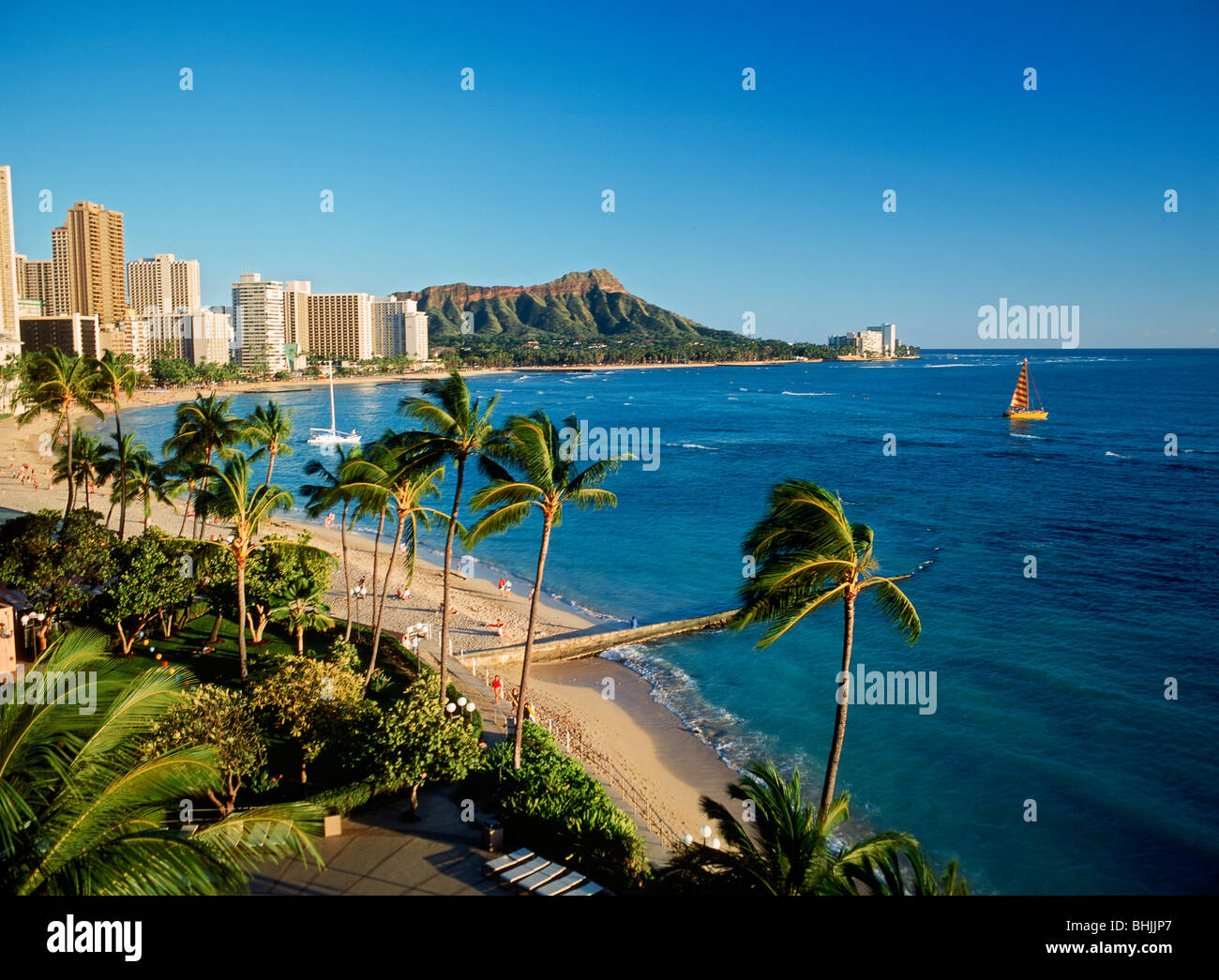 Waikiki Beach und Diamond Head über Palmen mit Katamaran und Beach front Hotels auf der Insel Oahu in Hawaii Stockfoto