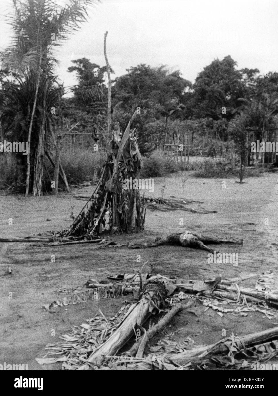 Geographie/Reisen, Kongo, Ereignisse, Simba-Aufstand 1964 - 1965, Einnahme von Stanleyville durch Regierungstruppen, tot auf der Straße zum Flughafen, Dezember 1964, Stockfoto