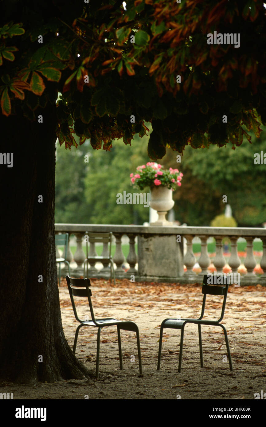 Paris. Frankreich. Zwei leere Stühle unter einem Baum im Jardin du Luxembourg. 6. Arrondissement. Stockfoto