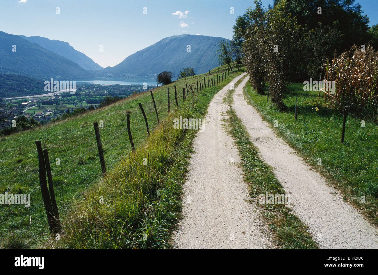 Fackel. Pieve Alpago. Italien. Feldweg, grünen Weiden & Lago di Santa Croce in der Region Alpago. Stockfoto