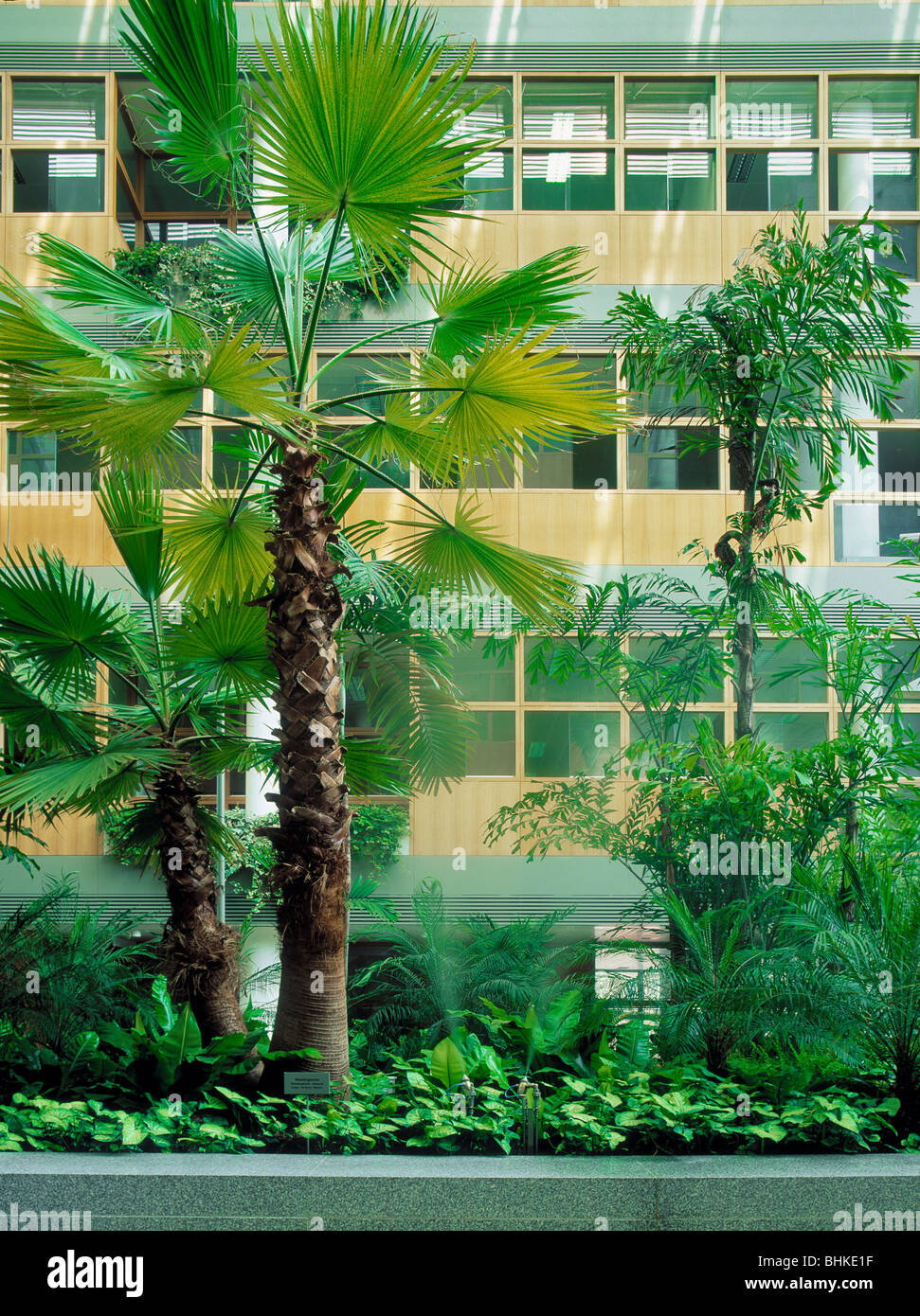 Interne Landschaftsbau in den Dublin Corporation Civic offices Stockfoto