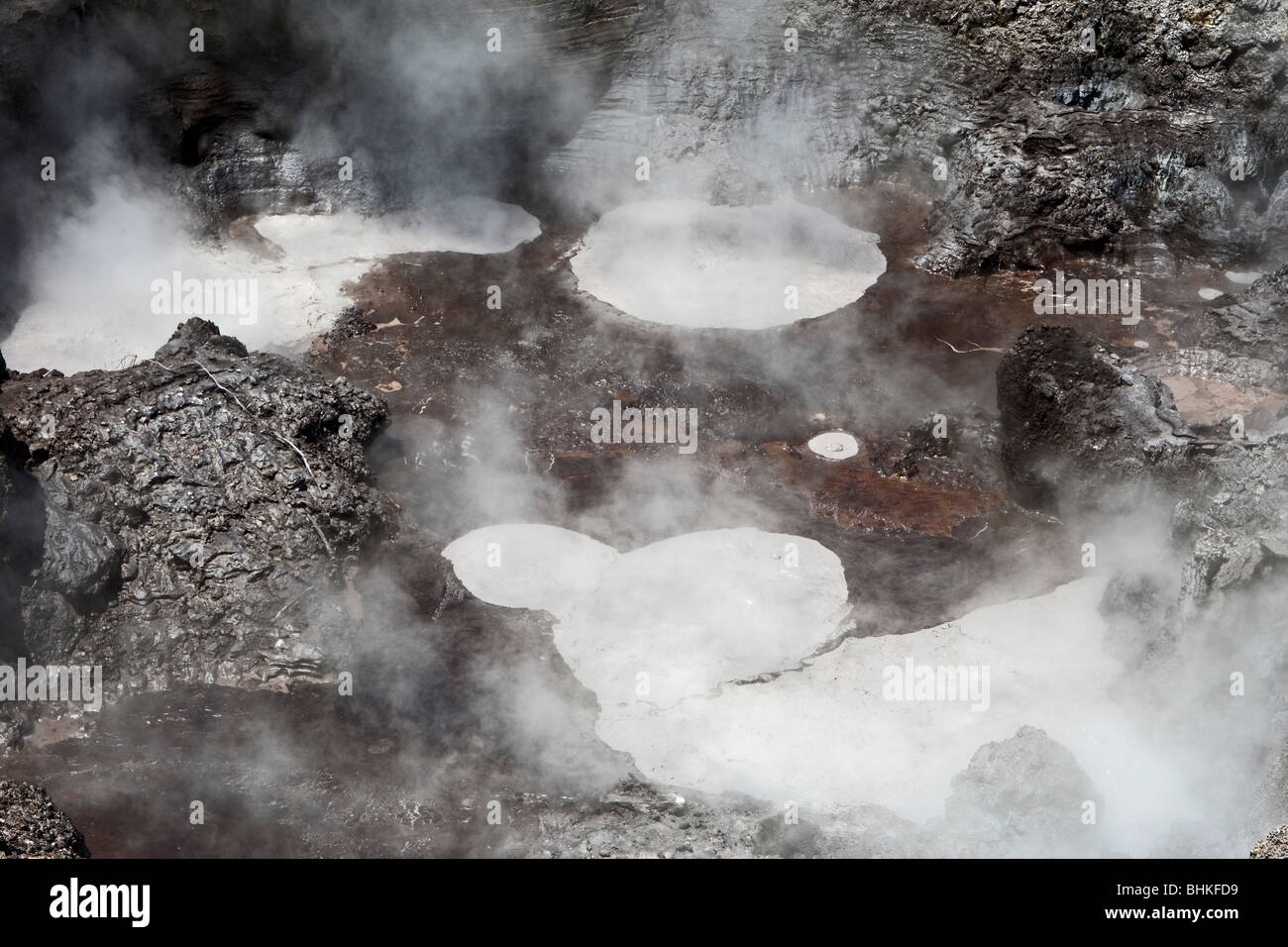 Wai-O-Tapu Thermal Park, Rotorua, Neuseeland, Samstag, 9. Januar 2010. Stockfoto