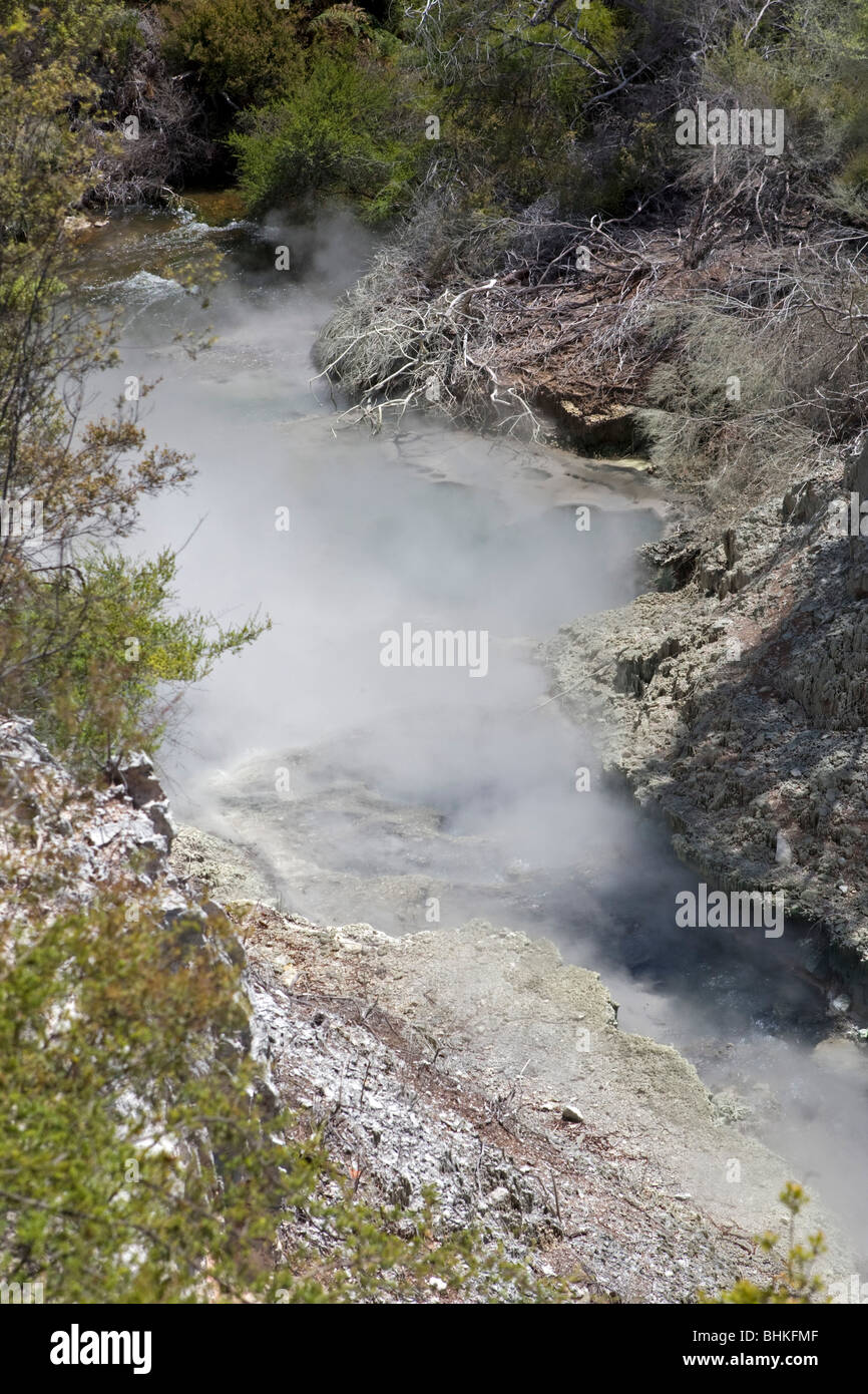 Wai-O-Tapu Thermal Park, Rotorua, Neuseeland, Samstag, 9. Januar 2010. Stockfoto