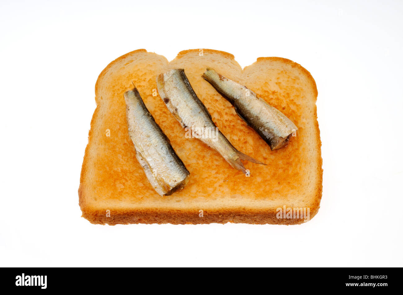 Sardinen auf Toast auf weißem Hintergrund. Ausschnitt Stockfoto