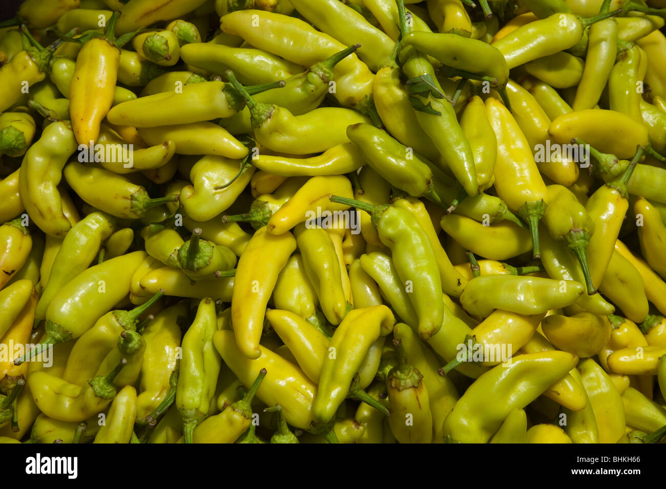 Indien Yellow Chili Stockfoto