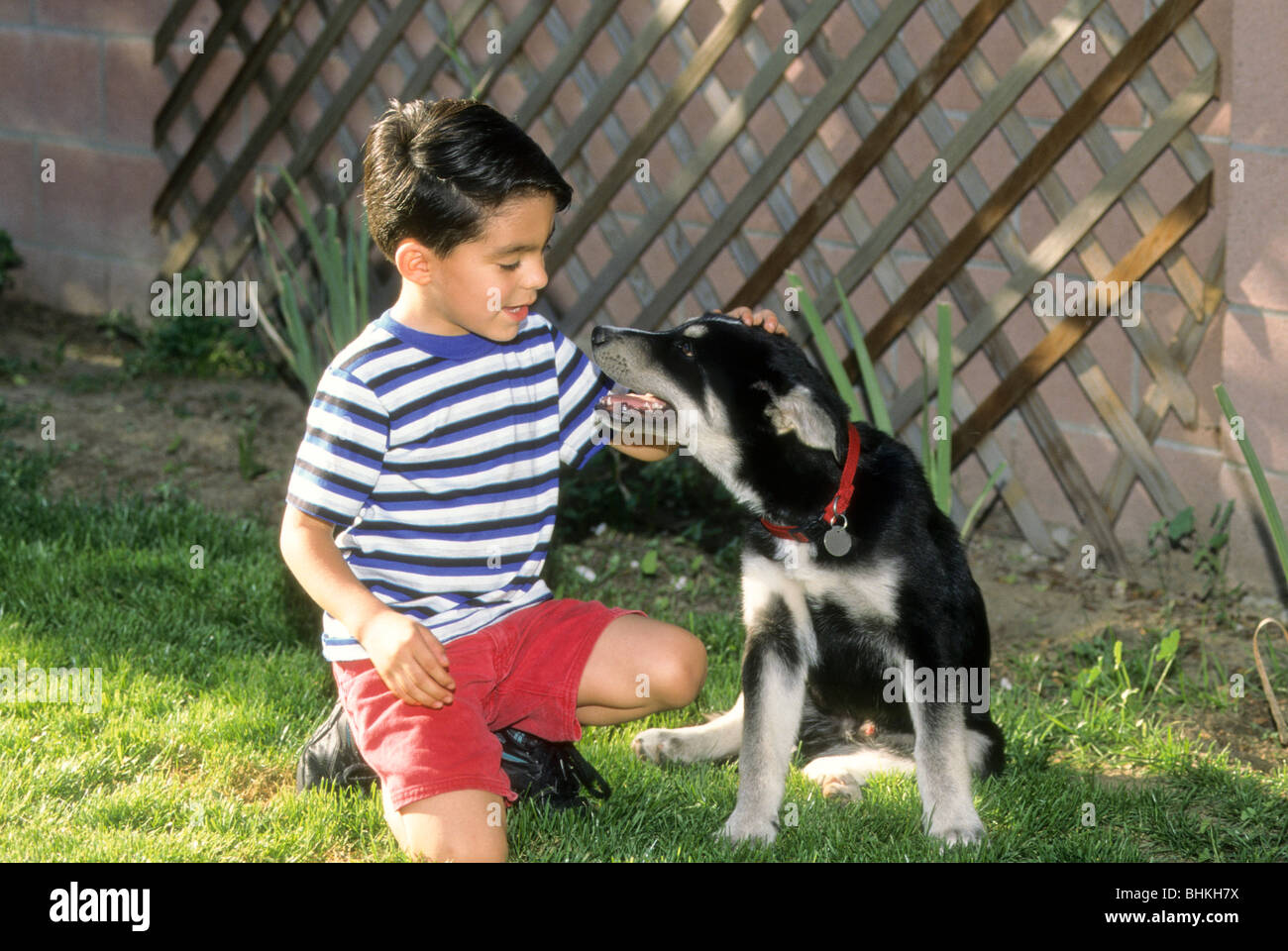 Junge Hispanic junge Hund Liebe Pflege Anteil Unterstützung Tier Stockfoto