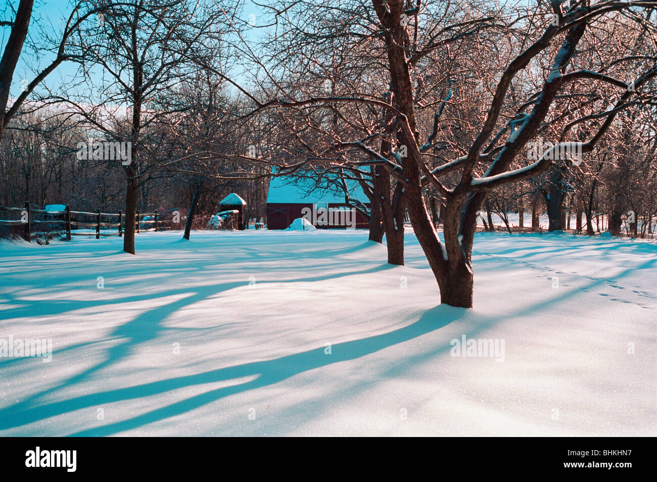 Schneebedeckte, Obstgarten, historische Dochte Farm, Jockey Hollow State Park, New Jersey Stockfoto