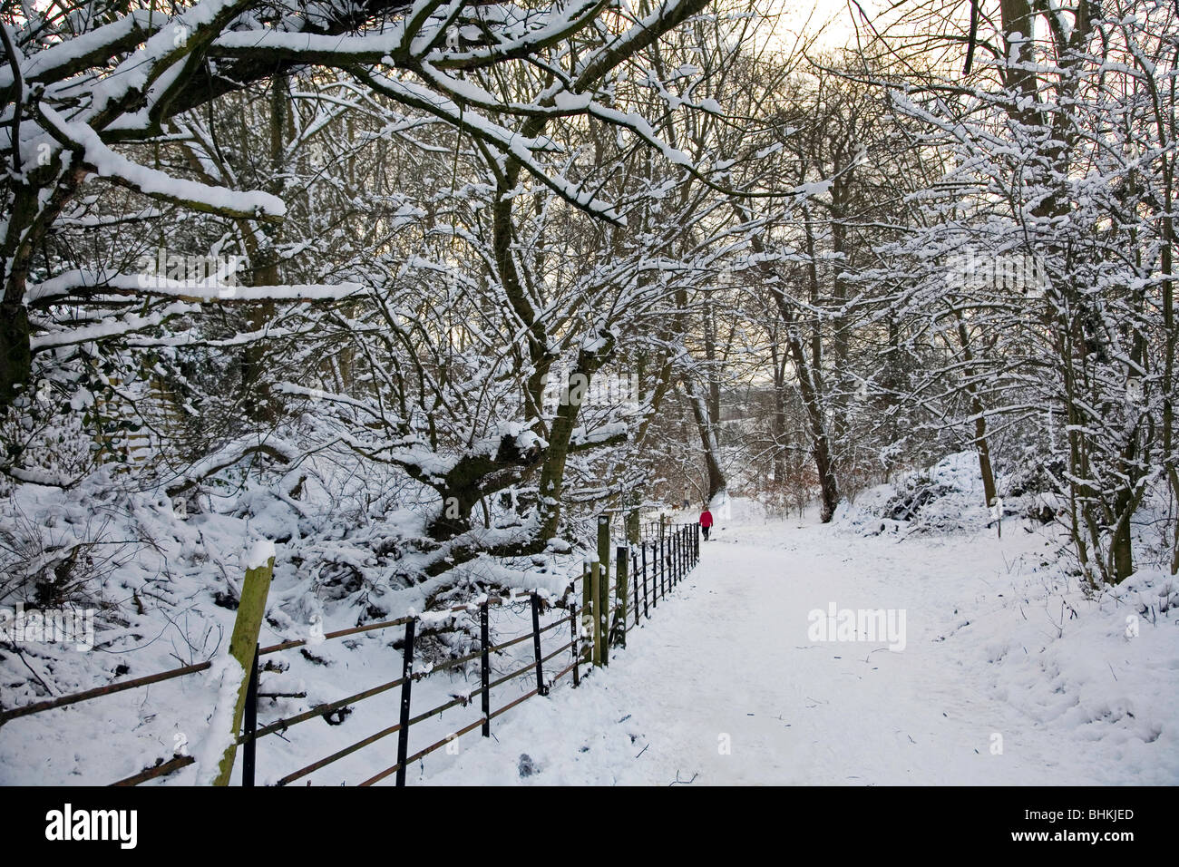 Snow Szene Sontley Wrexham North Wales UK England EU Europäische Union Europa Stockfoto