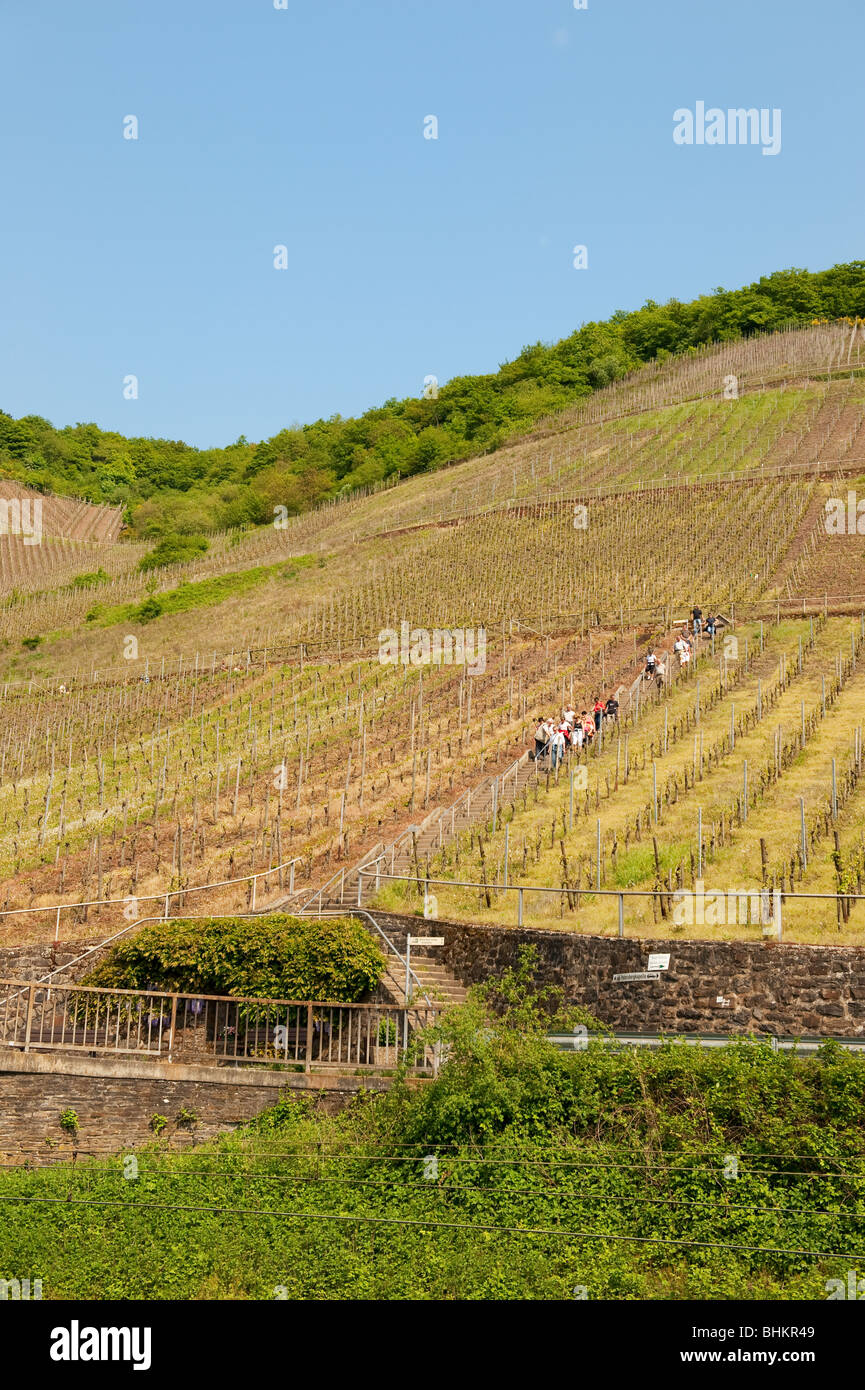 Eine Gruppe Menschen ist Wandern in der Natur in der Nähe der Mosel Stockfoto