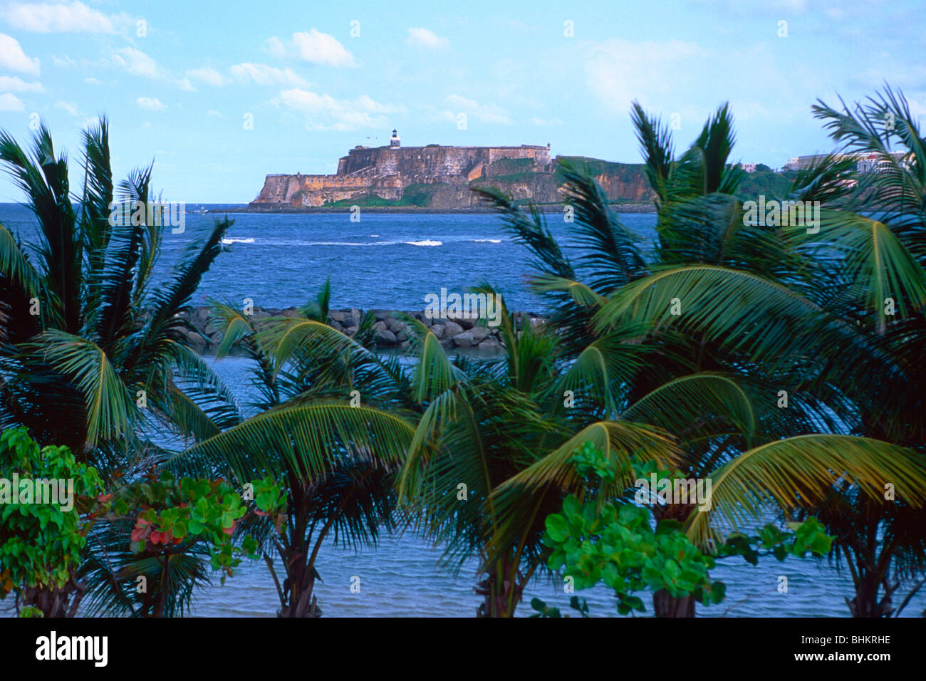 Bucht von San Juan Blick über Palmen, Puerto Rico Stockfoto