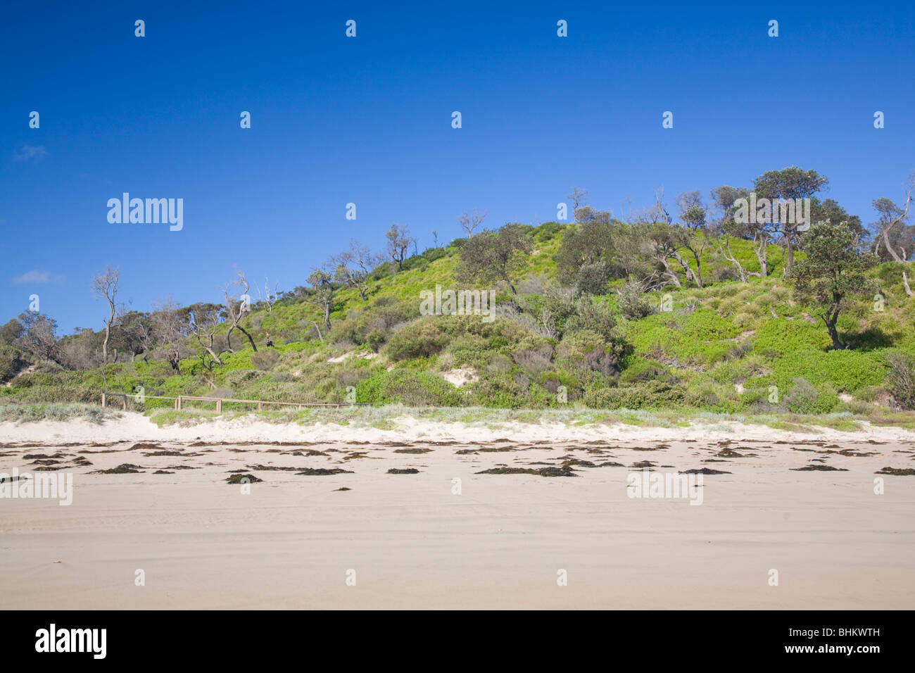 Bhewerre Strand im Booderee Nationalpark, Jervis Bay Territory, Australien Stockfoto