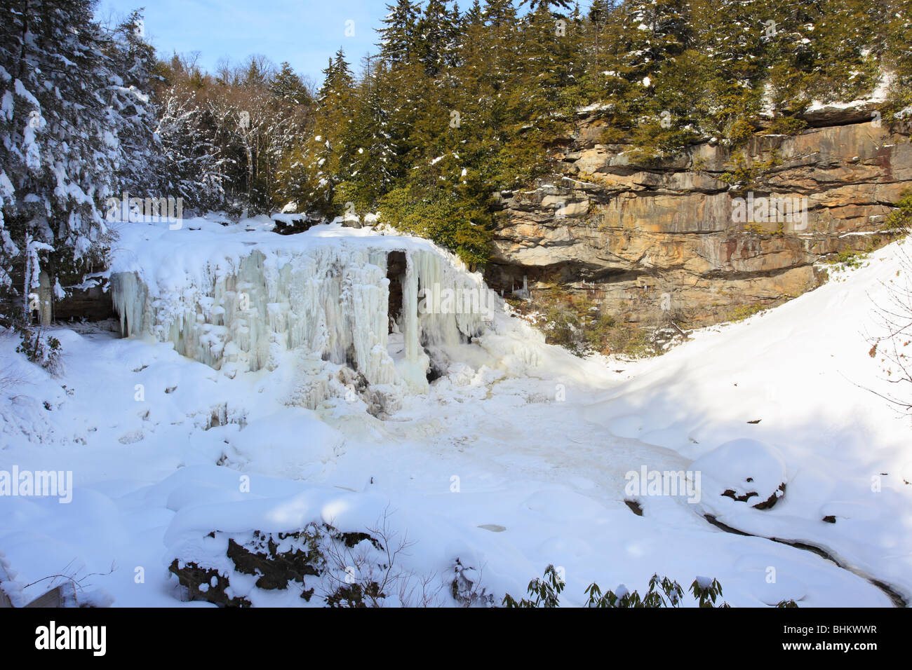 Blackwater fällt in Blackwater Falls State Park, Davis, West Virginia Stockfoto