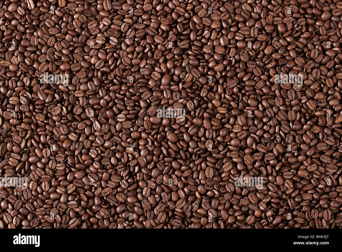 Hintergrundbild von vielen Kaffeebohnen füllen das Bild Stockfoto