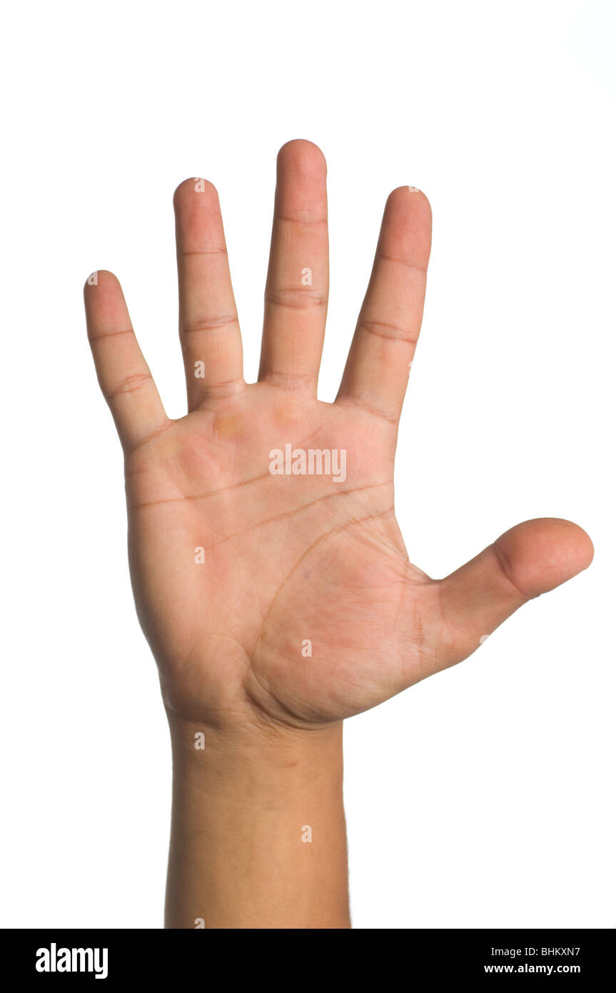 Nahaufnahme der Hand eines Mannes vor einem weißen Hintergrund Stockfoto