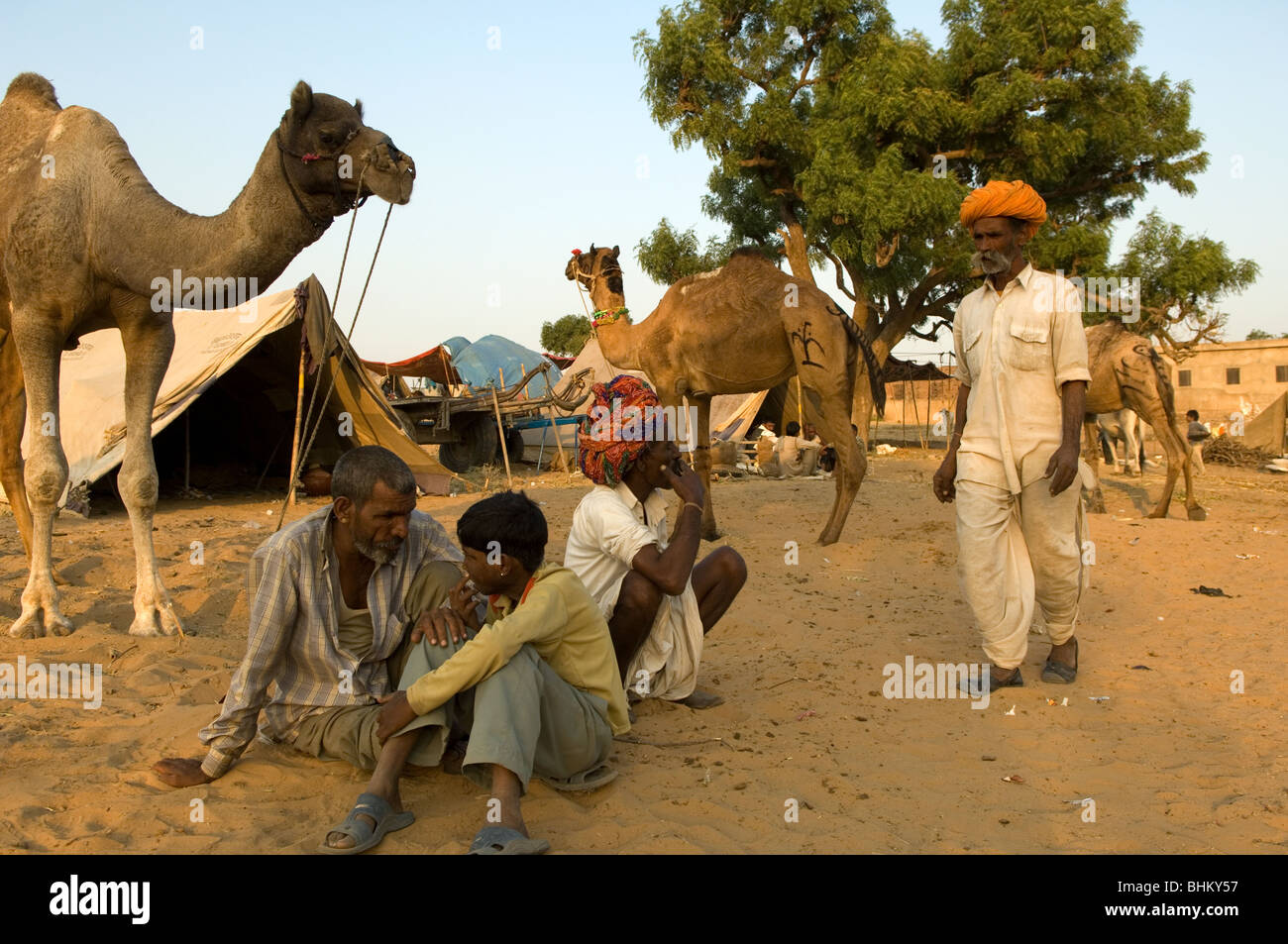 Pushkar während der Messe Pushkar, Rajasthan, Indien. Kamel Händler am Vieh Teil der Messe. Stockfoto