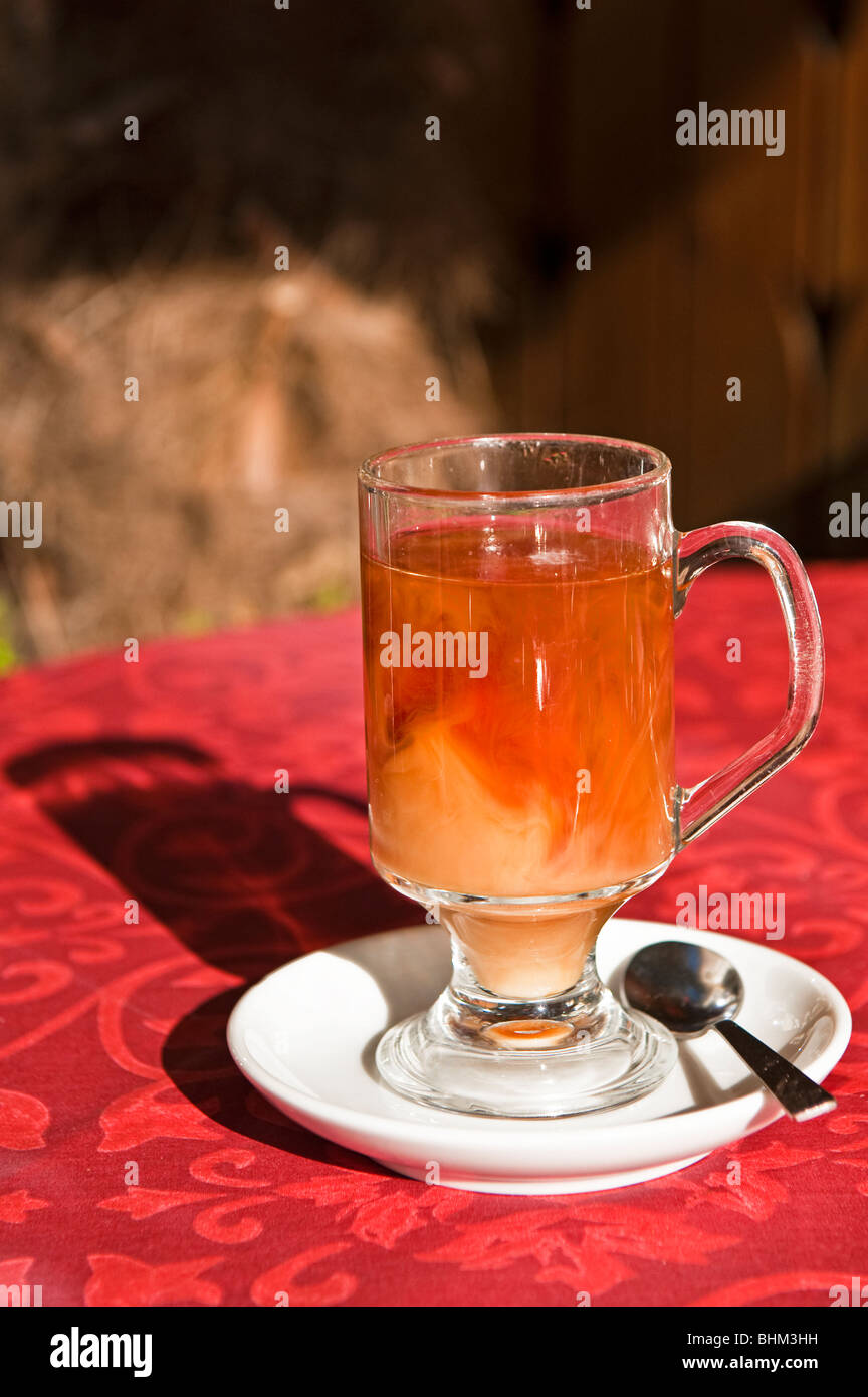 Eine Tasse Tee für eine Stockfoto