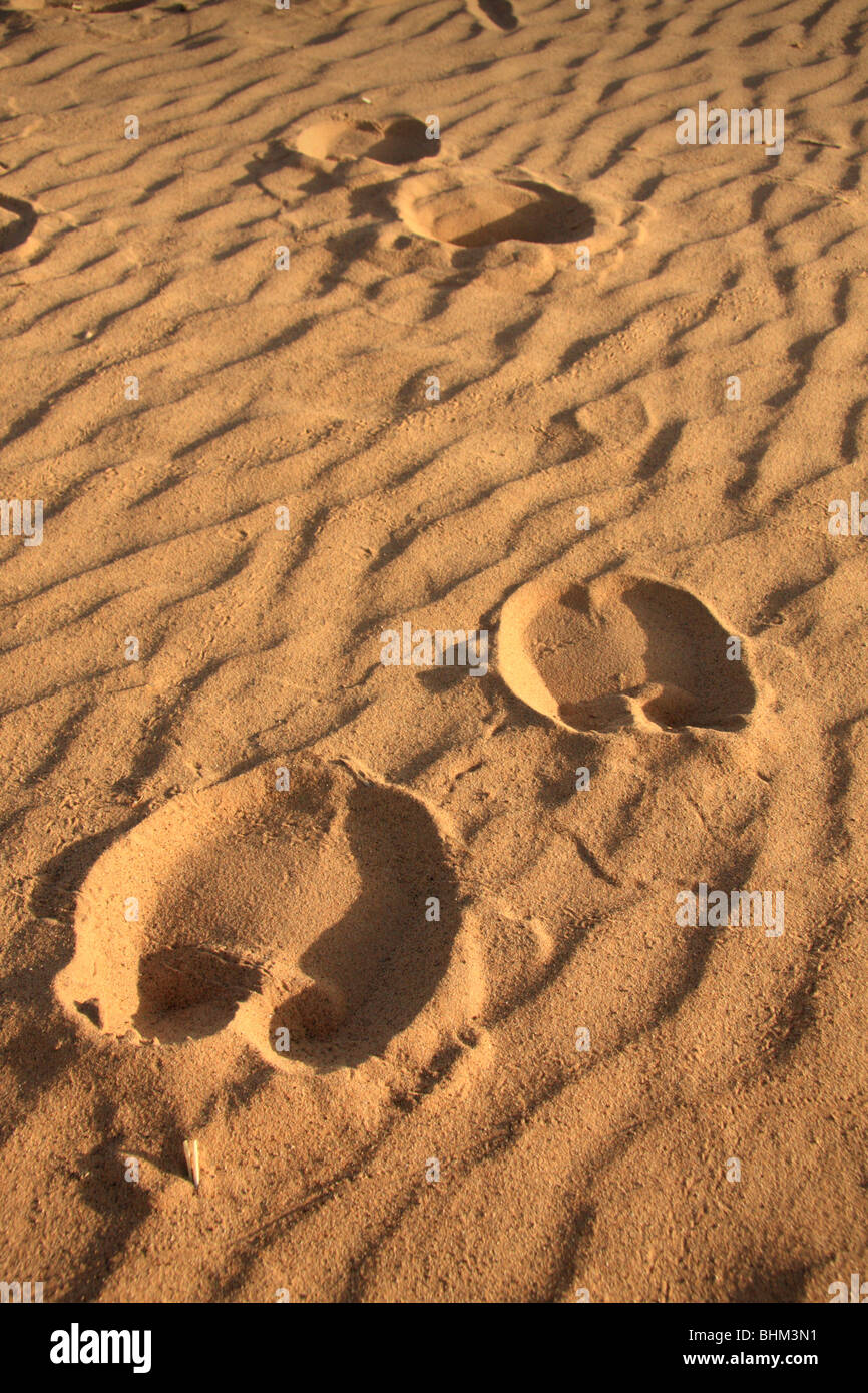 Kamele Fußspuren im Erg Chebbi sand Abgaben, Sahara Wüste in der Nähe von Merzouga, Marokko Stockfoto