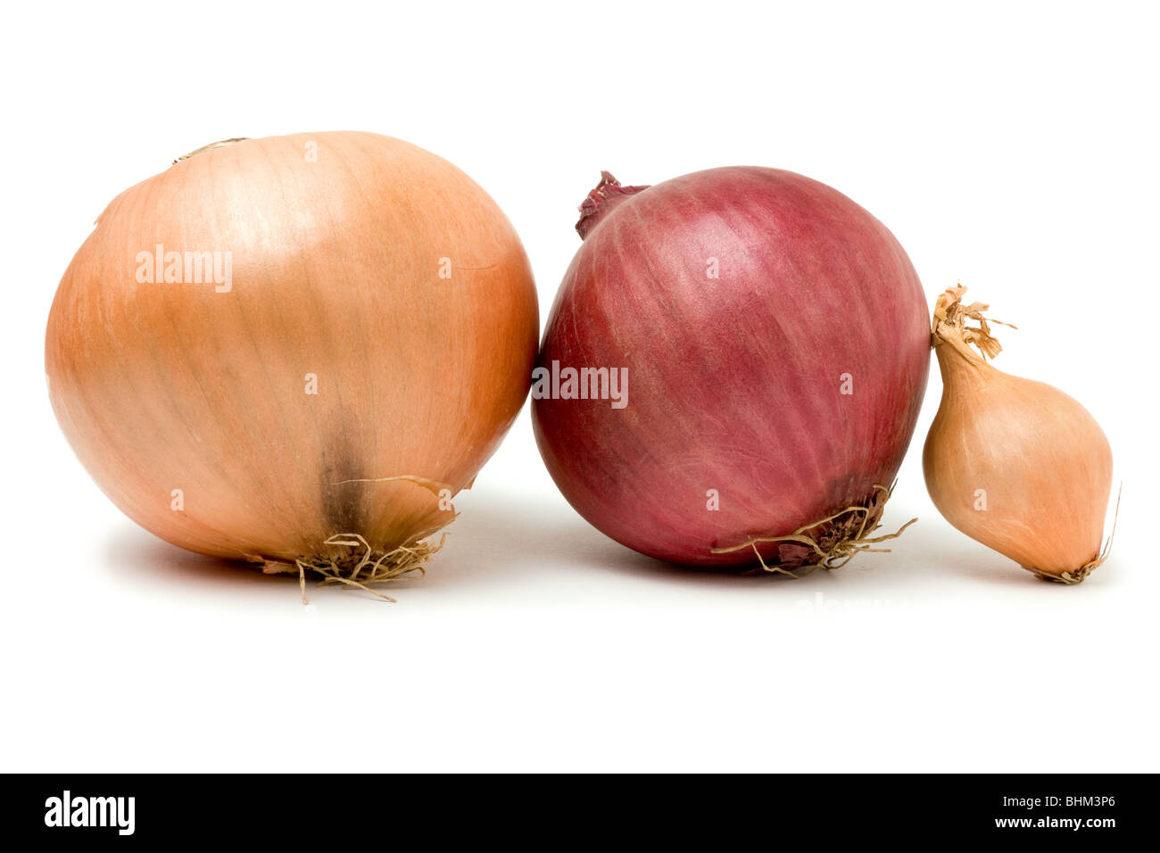 Eine Auswahl von drei Zwiebeln aus der Familie der Zwiebel auf weißen Hintergrund isoliert. Stockfoto