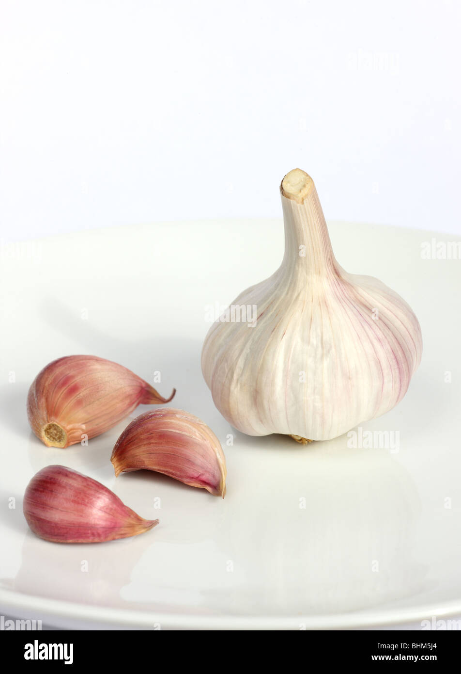 Ganze Knolle Knoblauch mit drei Knoblauchzehen auf weißen Teller auf weißem Hintergrund. Stockfoto