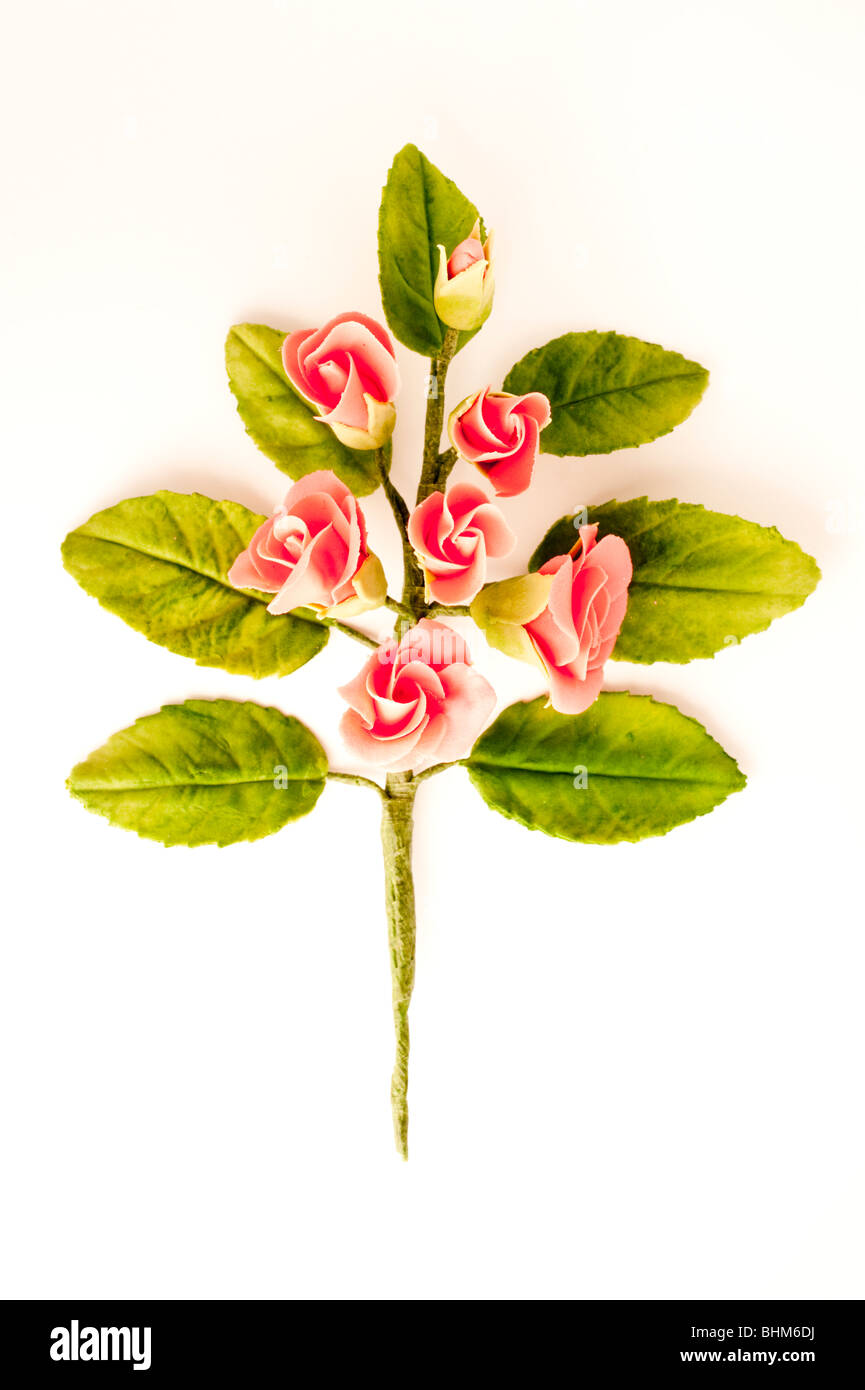 Ein Zucker gefertigt Blumen zur Dekoration von Kuchen auf weißem Hintergrund Stockfoto
