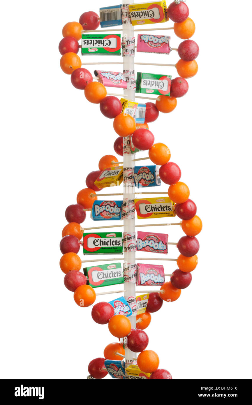 DNA-Doppelhelix-Modell aus Kaugummi Kugeln und Süßigkeiten-Boxen und Verpackungen Stockfoto