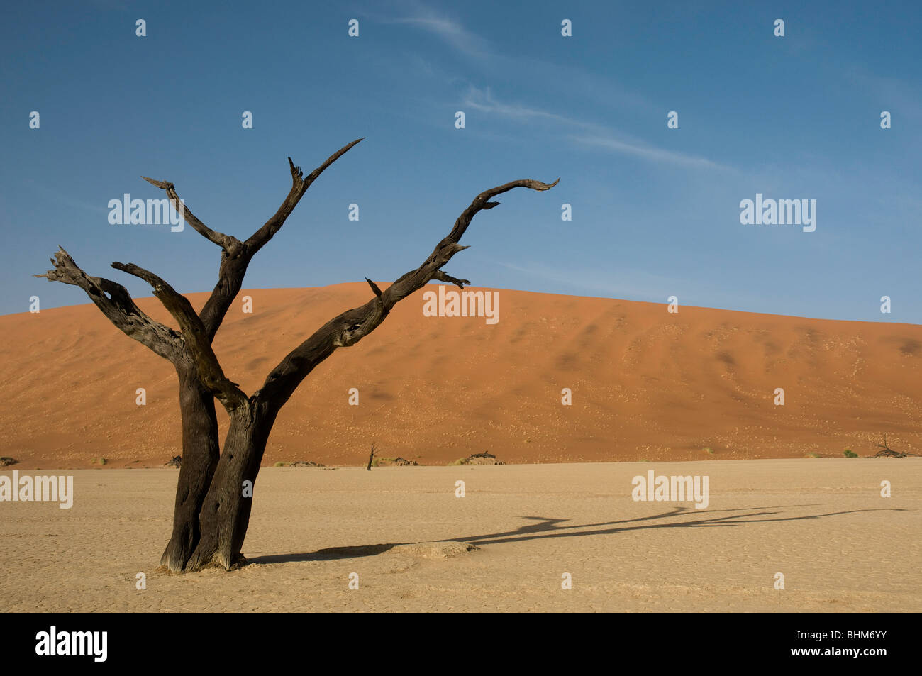 Tote Bäume in trockenen Schlamm Pfanne, DeadVlei, Sesriem, Namibia Wüste. Roten Dünen. Dürre Boden Muster. Stockfoto