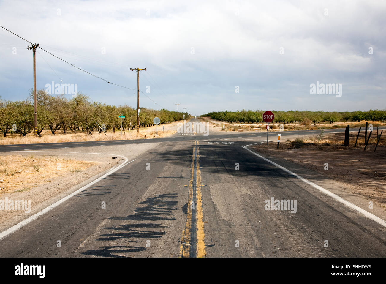 Landstraße entlang Plantage in Kalifornien, USA Stockfoto