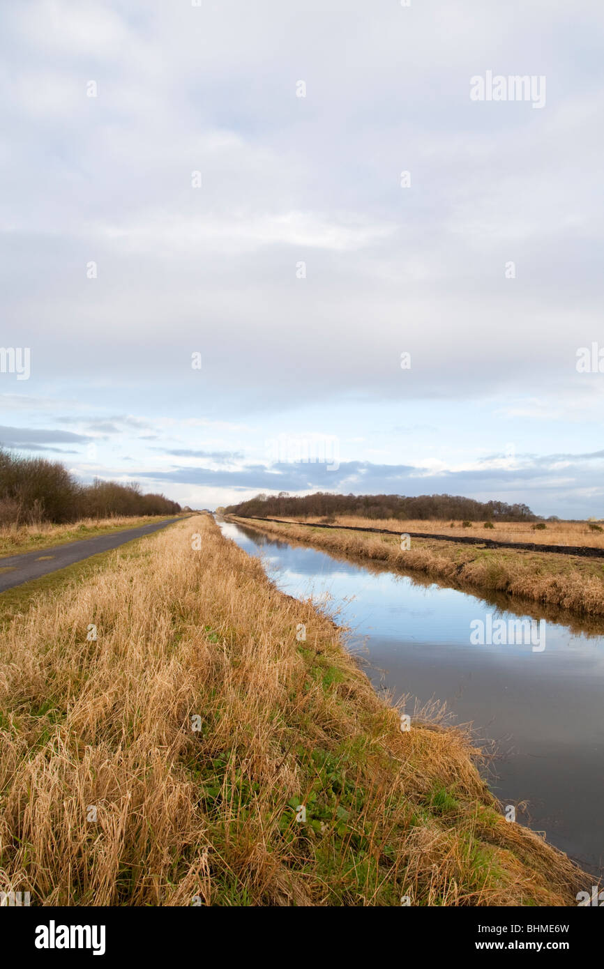 Pfad und Süden Drain quer Shapwick Heath Teil der Avalon Sümpfe, Somerset Levels, Somerset, UK, winter Stockfoto