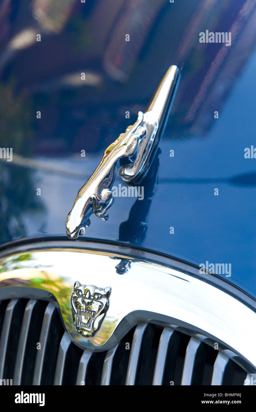 Jaguar Symbol auf dem Auto Motorhaube Stockfoto