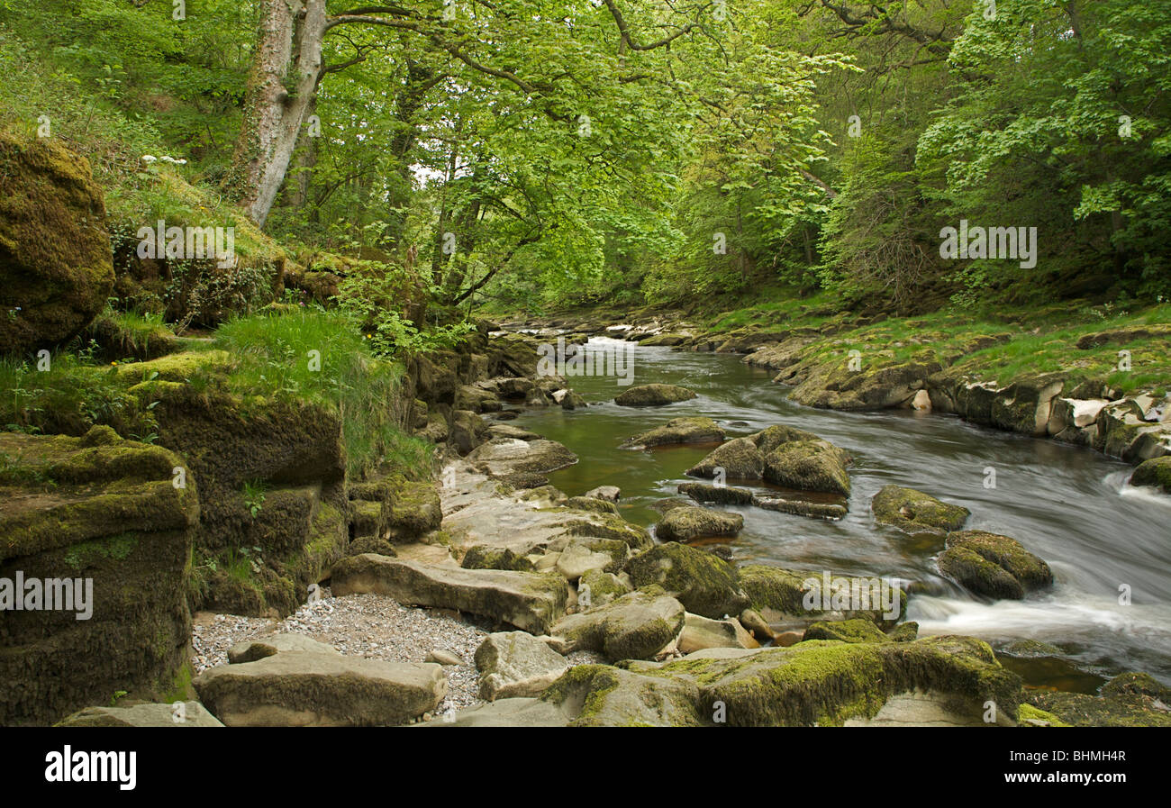 Strid, Yorkshire. Stockfoto