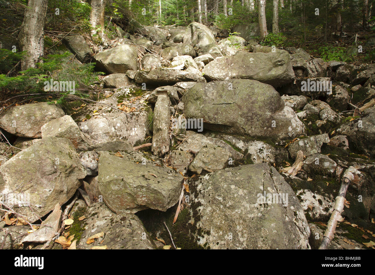 Pemigewasset Wilderness - getrocknete Flussbett in den White Mountains, New Hampshire, USA Stockfoto