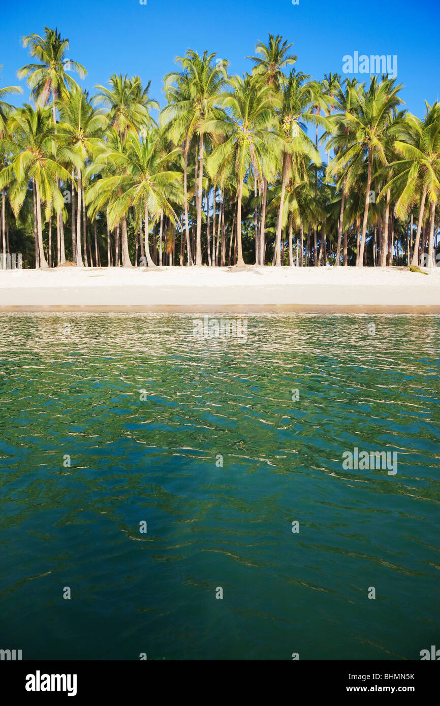 Meer, Palmen, Strand, blauer Himmel und Reflexionen; Las Reetdächern; El Nido; Bacuit Bay; Palawan; Philippinen Stockfoto