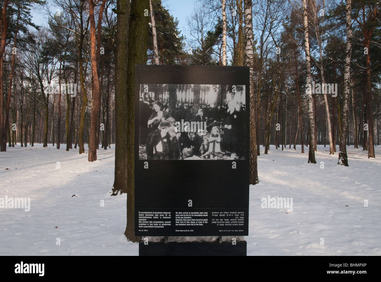 Auschwitz-Birkenau KZ Museum. Nazi-Foto der wartenden nach Gaz Kammern geführt werden Stockfoto