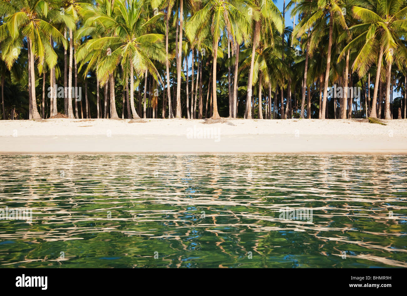 Meer, Palmen, Strand und Reflexionen; Las Reetdächern; El Nido; Bacuit Bay; Palawan; Philippinen. Stockfoto