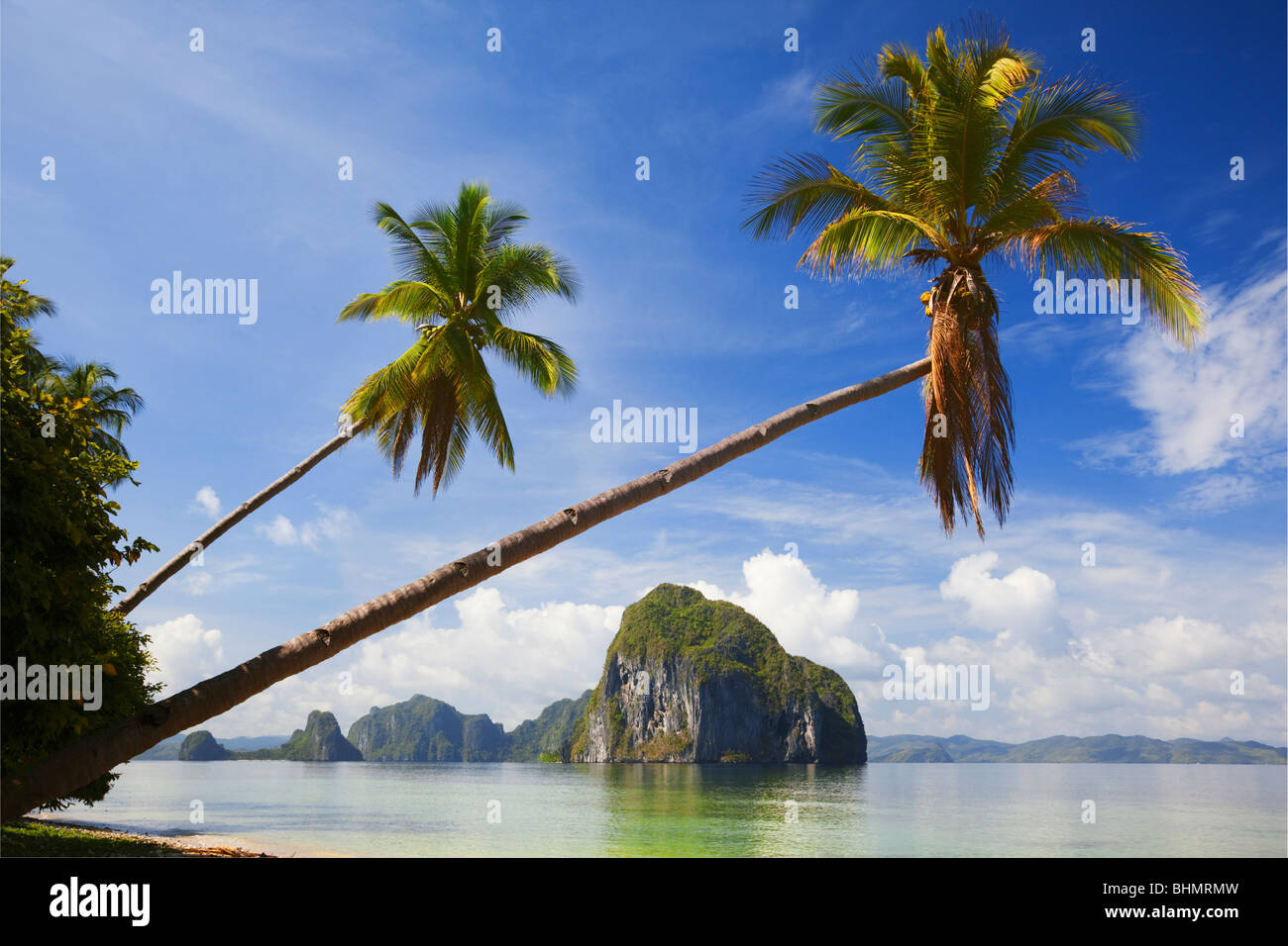 Palmen und Inseln im Bacuit Bay; Palawan; Philippinen. Stockfoto