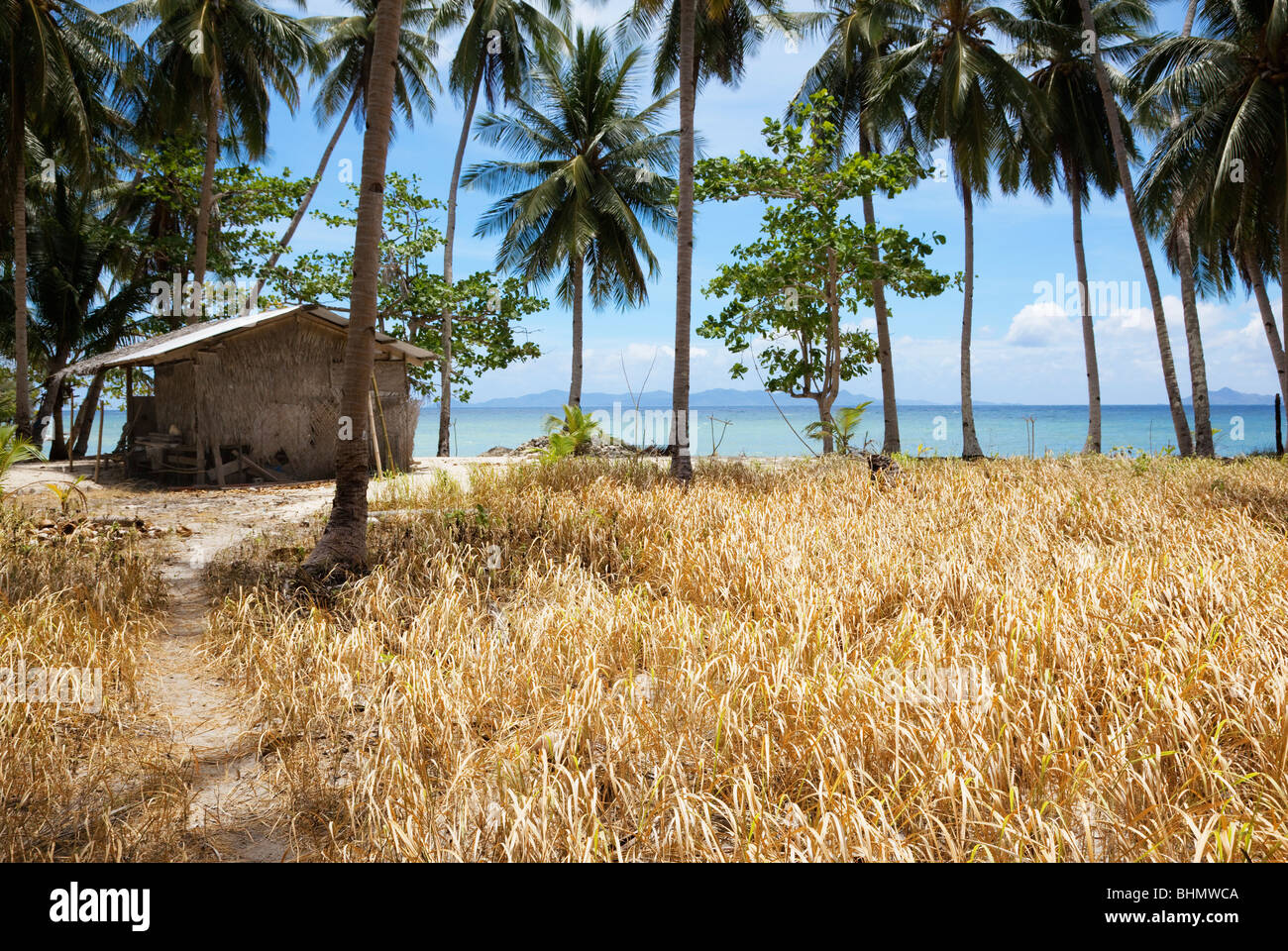 Darocotan Insel; Bacuit Archipels; Palawan; Philippinen Stockfoto