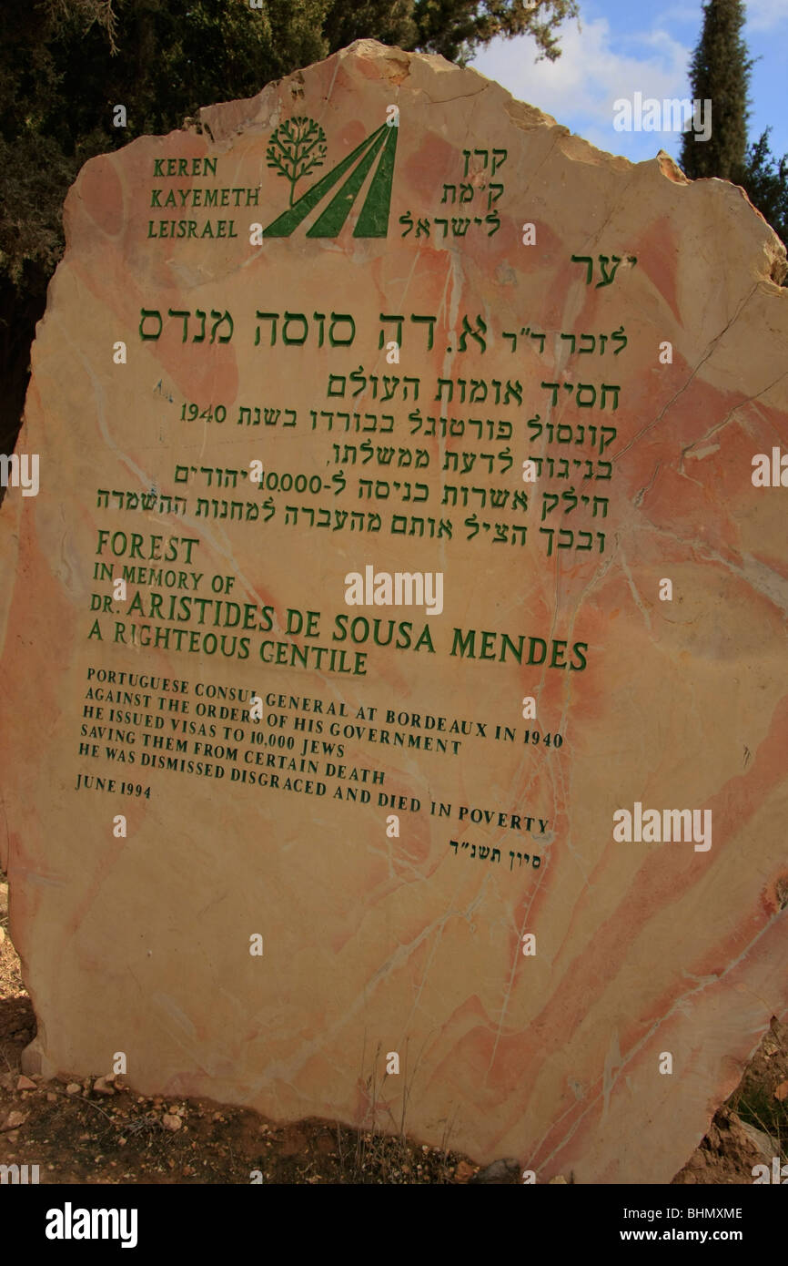 Israel, Yatir Wald, ein Denkmal für Dr. Aristides de Sousa Mendes, eine rechtschaffene Heiden Stockfoto