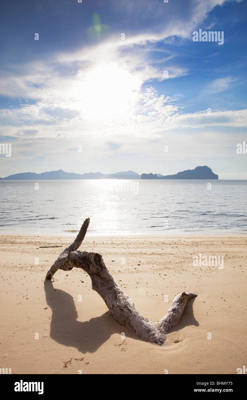 Melden Sie sich am einsamen Strand; Bacuit Archipels; Palawan; Philippinen Stockfoto