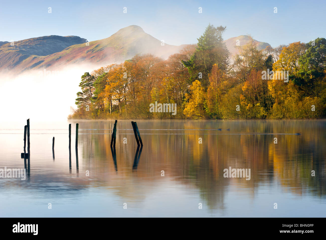 Herbstlaub am Ufer des Derwent Water, Keswick, Nationalpark Lake District, Cumbria, England, UK. Herbst (November) 2009 Stockfoto