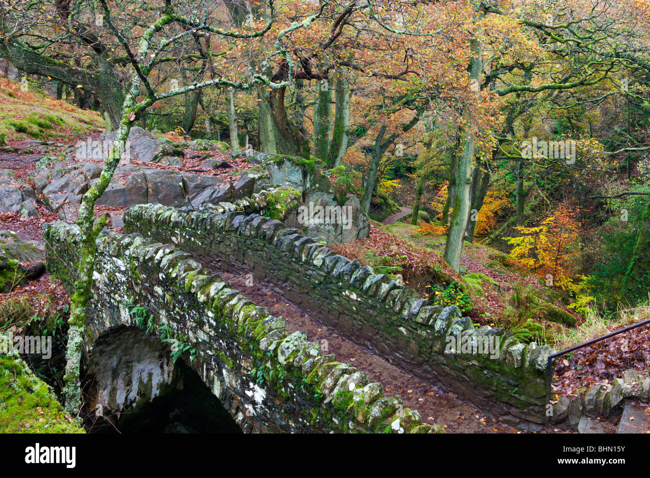 Steinbrücke überqueren Aira Force Wasserfall, Nationalpark Lake District, Cumbria, England, UK. Herbst (November) 2009 Stockfoto