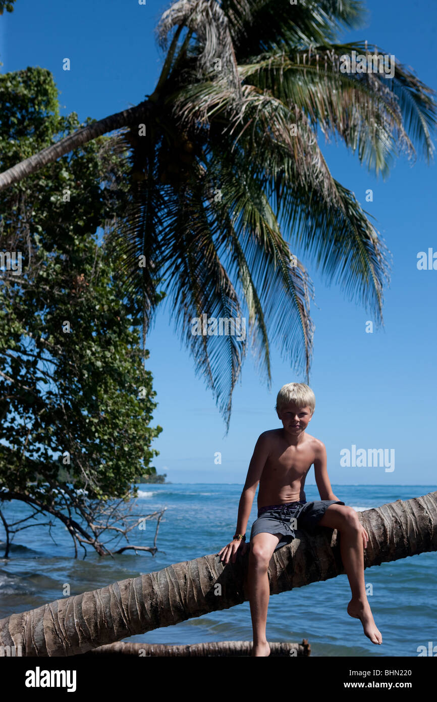 Cahuita Nationalpark, Costa Rica Stockfoto