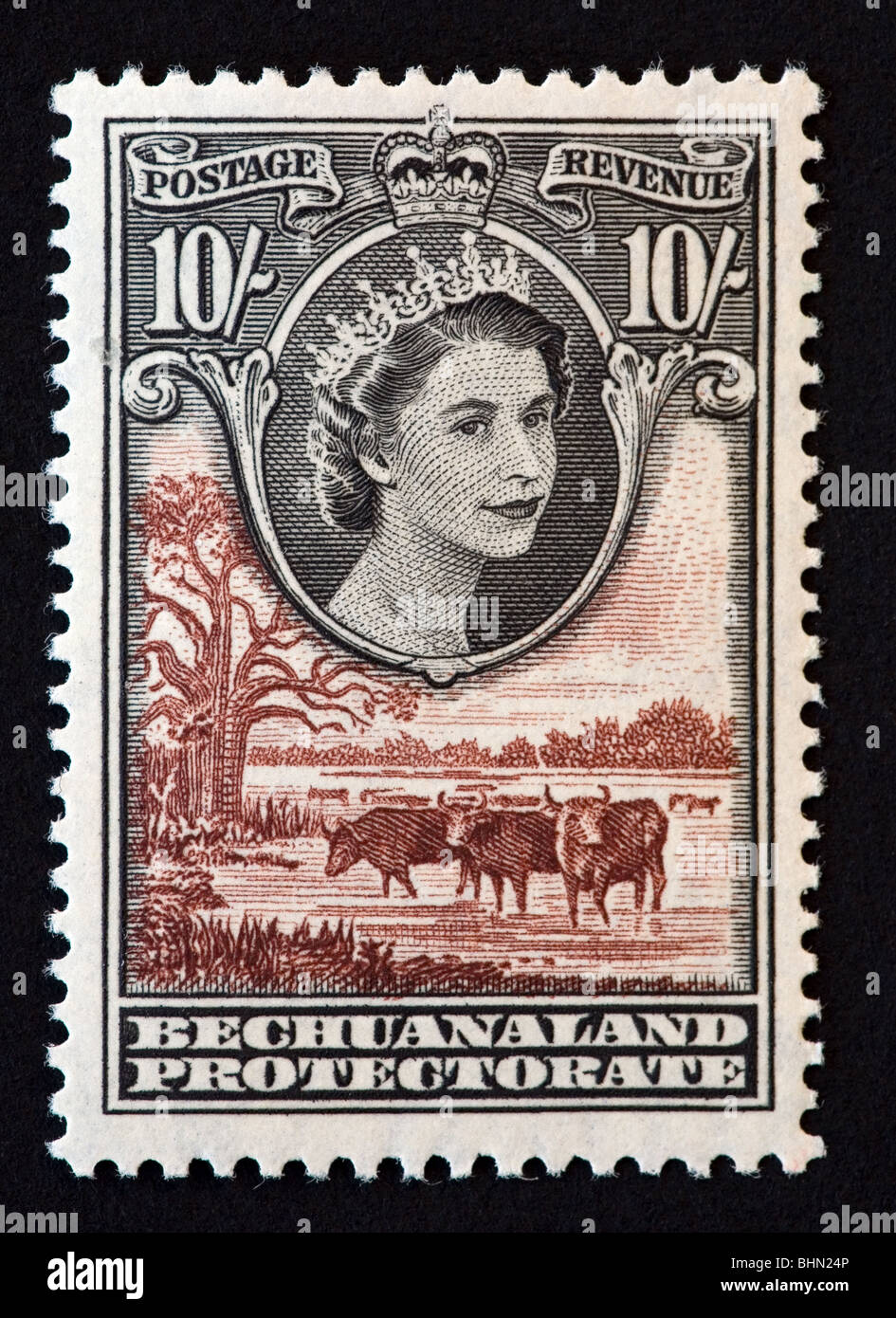 Briefmarke des Protektorats Betschuanaland (Botswana) Stockfoto