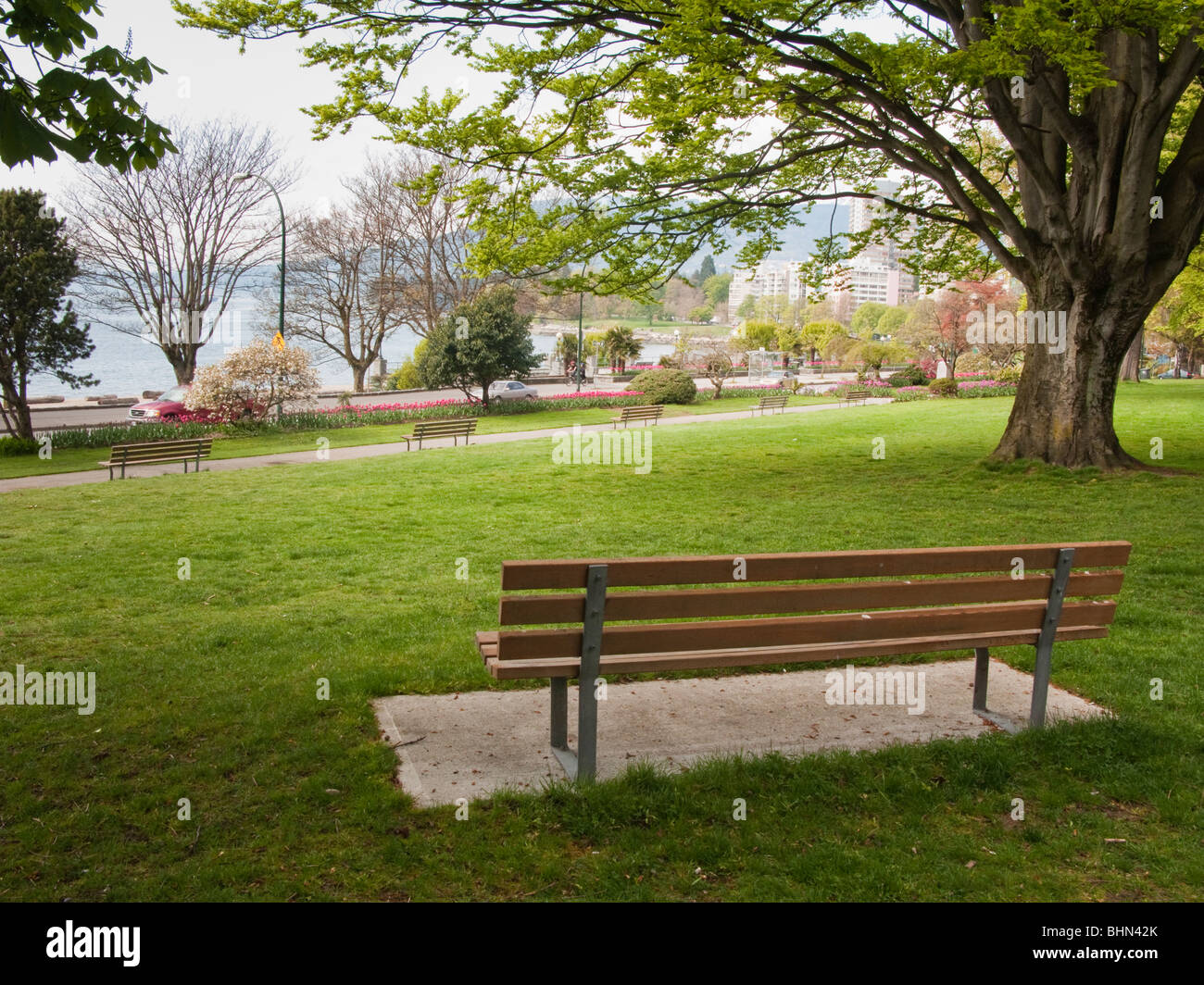 Parkbank im West End mit English Bay über Vancouver, BC, Kanada Stockfoto