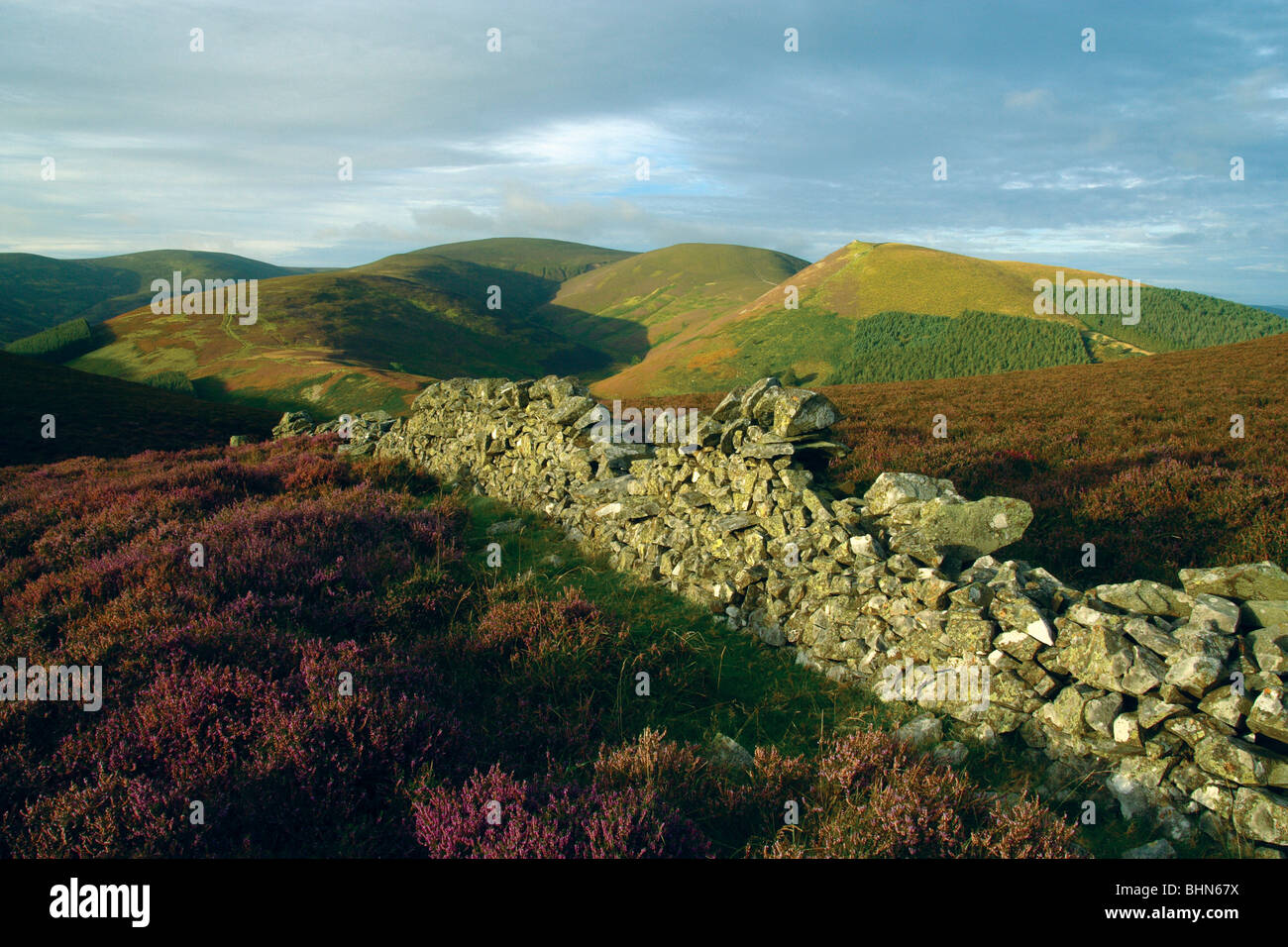 Blick über Glensax in Richtung Hundleshope Höhen, Preston Gesetz und Newby Kipps vom Kailzie-Hügel in der Nähe von Peebles, Scottish Borders Stockfoto