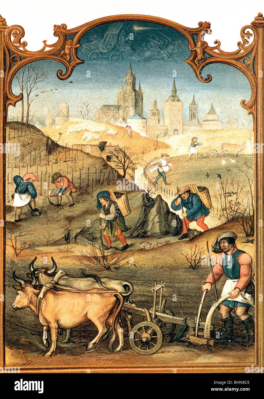 Landwirtschaft, Ernte, Kalenderbild aus "Breviarium Grimani", Markusbibliothek, Venedig, 15. Jahrhundert, Stockfoto